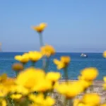 Casa Verdemare * Cefalù